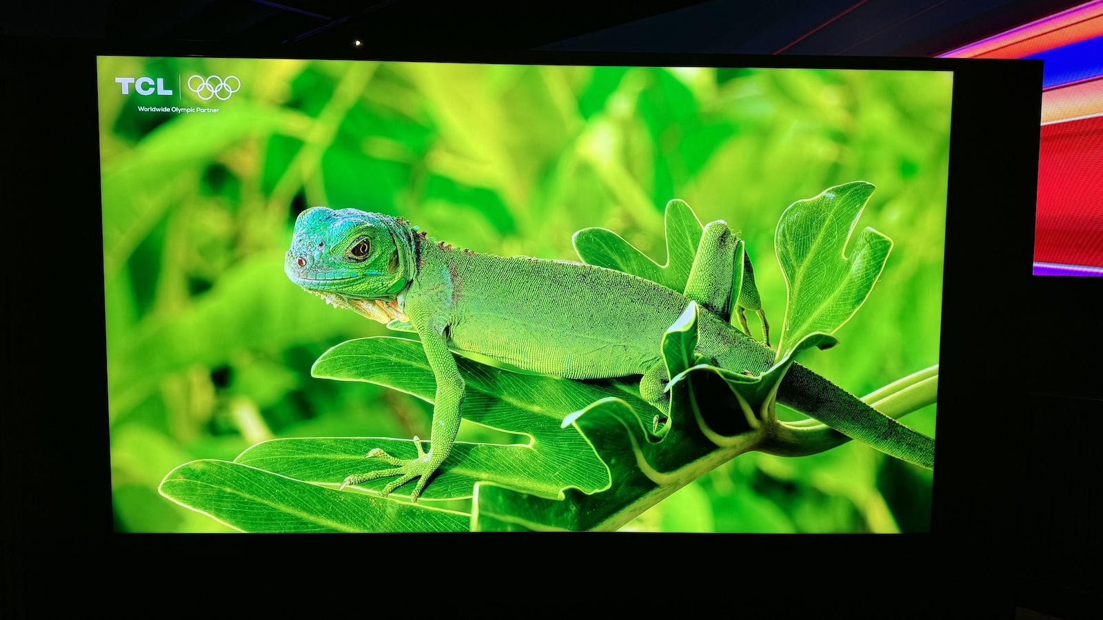 The 85-inch TCL C9L (aka RM9L) TV, photographed at CES 2026