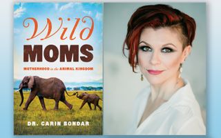 "Wild Moms" author Carin Bondar explores the ups and downs of motherhood in the animal kingdom.