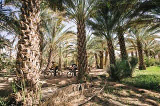 Image of two people riding through a palm grove in Morocco