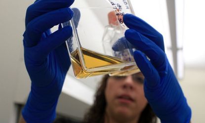 Scientists have successfuly cloned human stem cells, seen here in a container at the University of Connecticut.