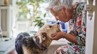  Senior woman sitting on stairs at home petting her dog