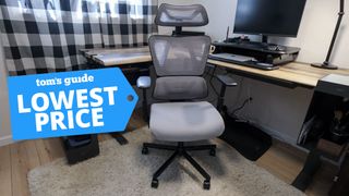 A ProtoArc EC100 office chair in a home office