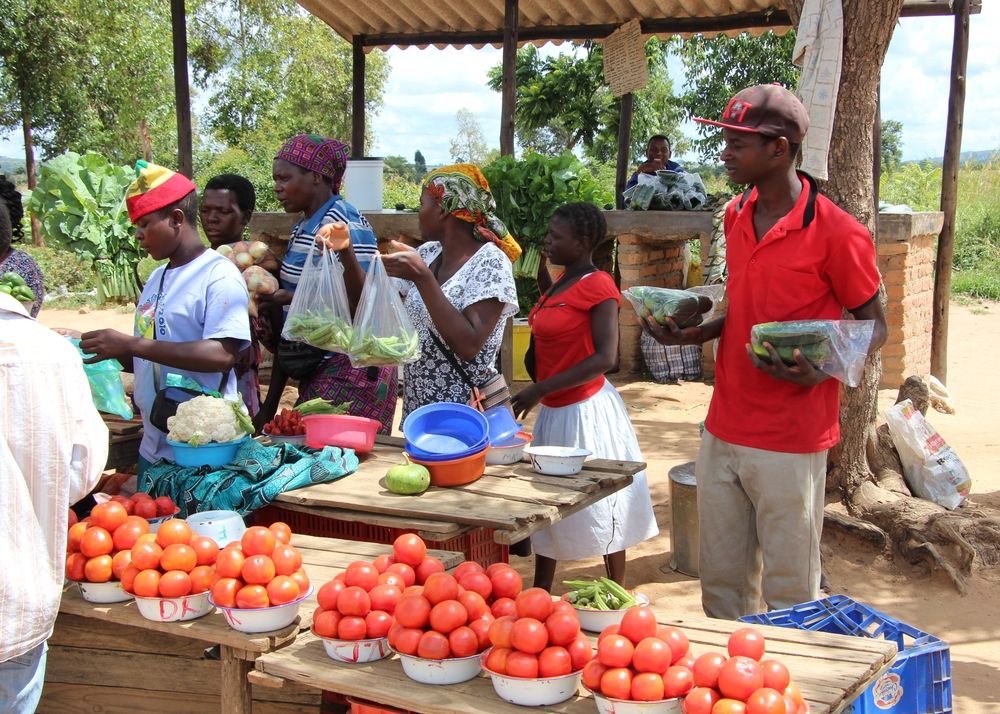 Zimbabwe market