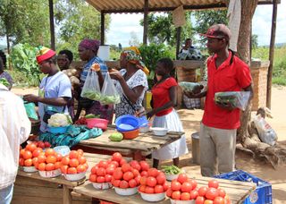 Zimbabwe market