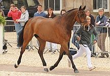 westwood-poser.jpg
