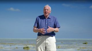 David Attenborough's Great Barrier Reef