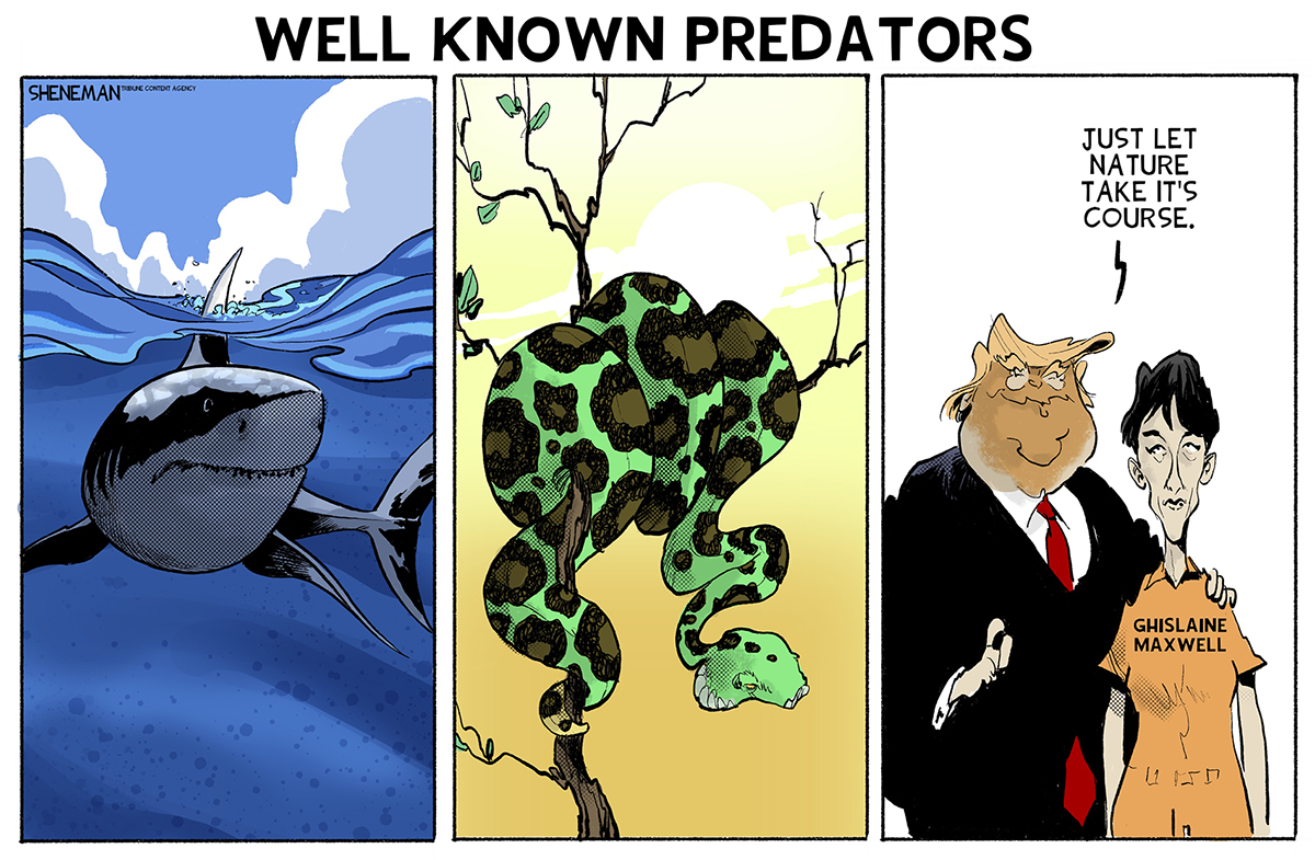 Political cartoon