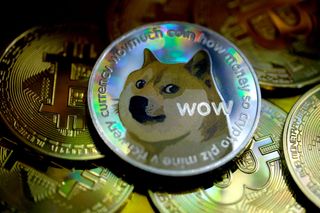 Image for Elon Musk says he's going to put Dogecoin on 'the literal moon'