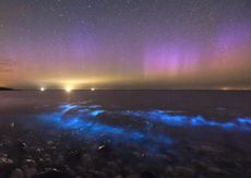 Bioluminescence on Anglesey. Credit: Kris Williams