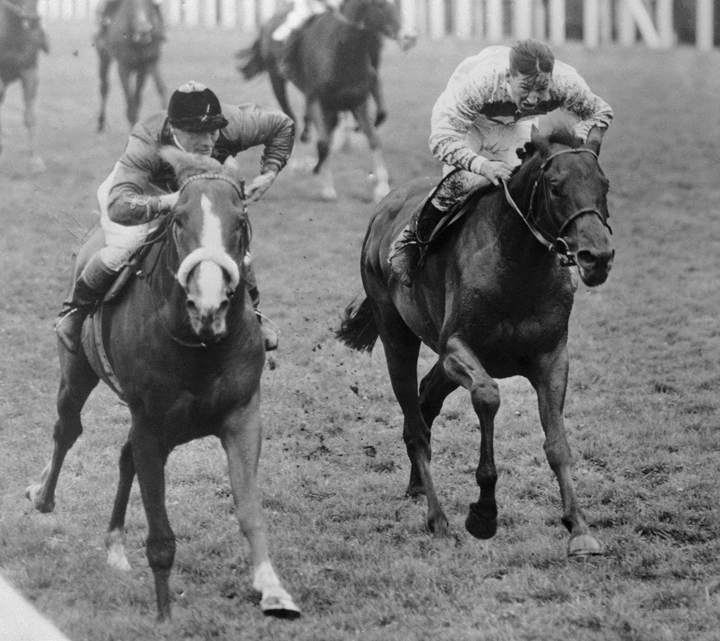 Queen Elizabeth II's Horse Winning Race