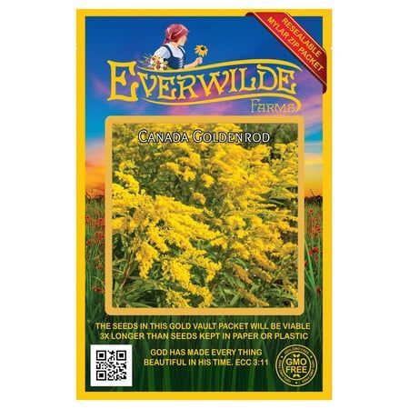 Everwilde Farms - 2000 Canada Goldenrod Native Wildflower Seeds - Gold Vault Jumbo Bulk Seed Packet
