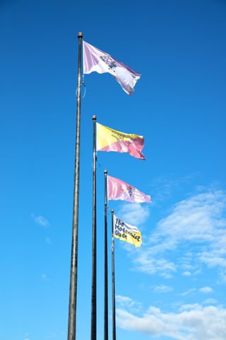 Colourful flags flying at the top of flag poles
