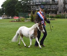 RIHS-Showing-24.07.2145131.jpg