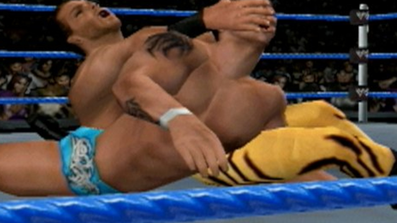 A floor grapple in the PSP version of WWE Smackdown vs RAW 2006