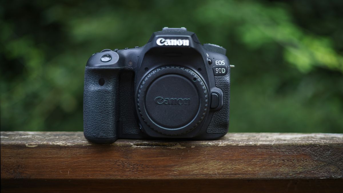 Best wildlife photography cameras 2024 Live Science