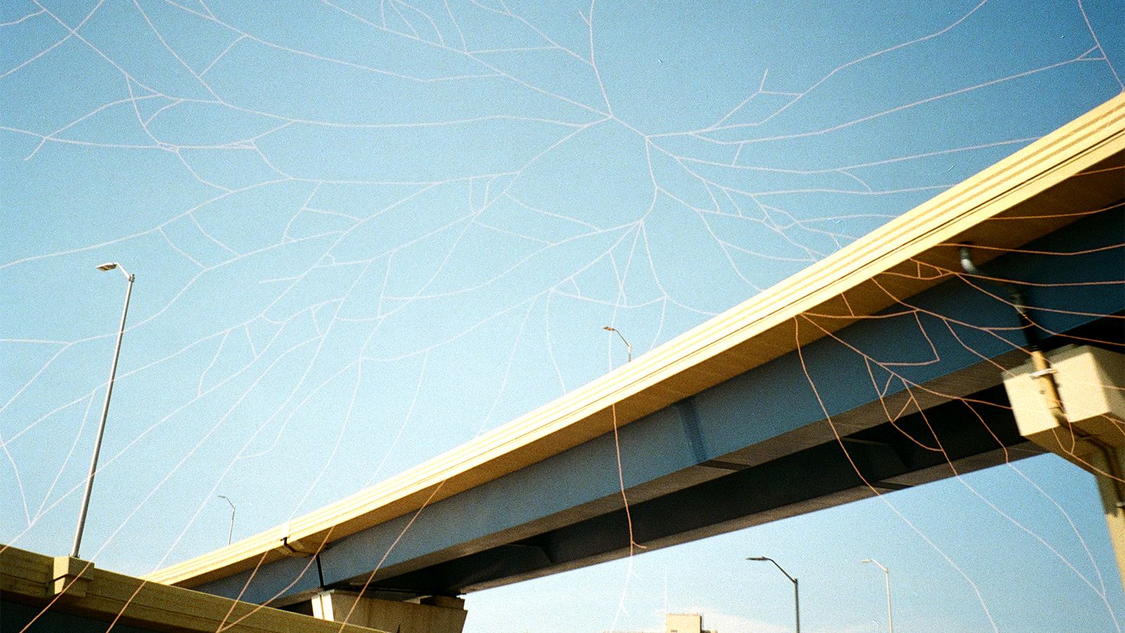 Retrospekt's Grafx Film Adds Pre-Exposed Artwork to 35mm Shots