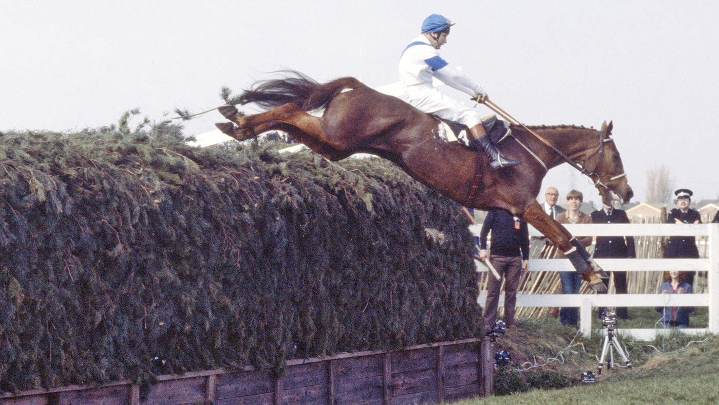 No list of famous racehorses would be complete without Aldaniti, seen here clearing Becher&amp;rsquo;s Brook for the second time on the way to victory in the Grand National at Aintree Racecourse, Liverpool, 4th April 1981 with Bob Champion. (Photo by Bob Thomas/Getty Images)