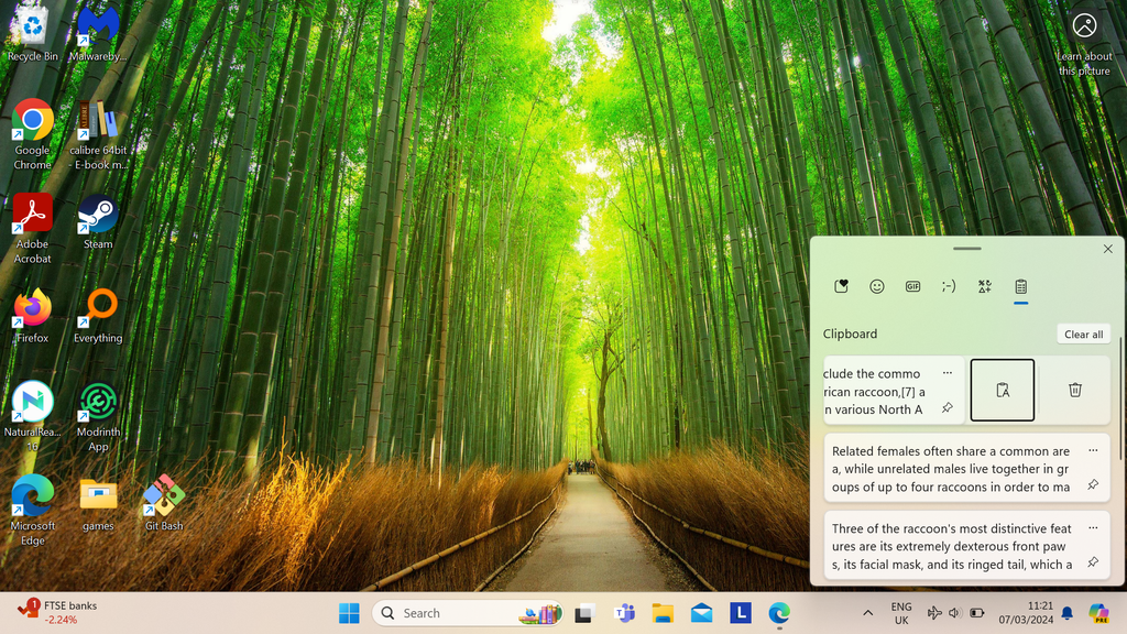 The underappreciated feature you never knew you needed Clipboard History in Windows 10 and