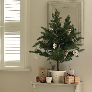 white room with christmas tree