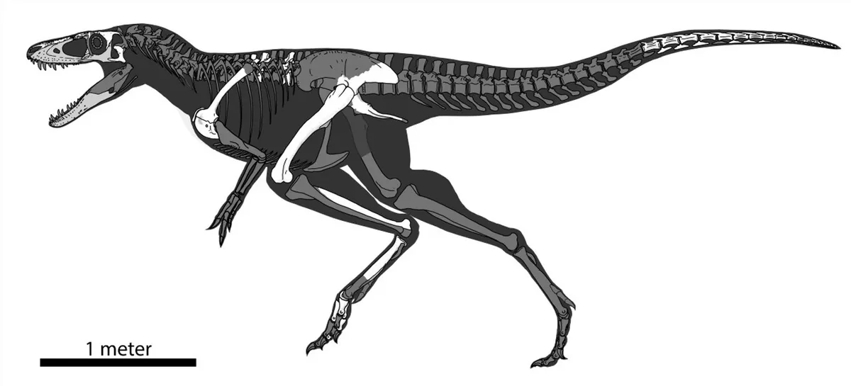 Illustration of K.mongoliensis, the dragon prince dinosaur, ‌which was ⁣smaller than T. rex.