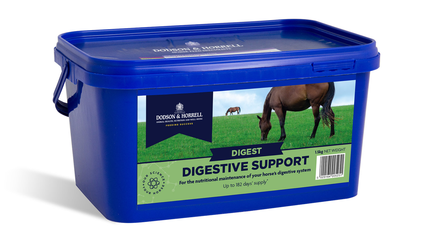 Dodson &amp;amp; Horrell Digestive Support gut balancer for horses