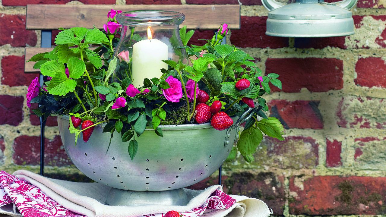 A colander used as a planter for strawberry plants