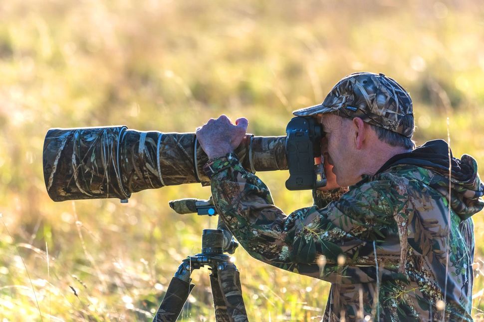 Are you ready to photograph wildlife this Autumn? | Digital Camera World