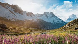 Game engines; a grassy field overshadowed by a large snowy mountain