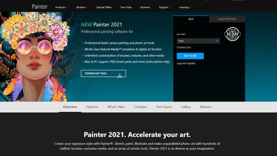 painter 2021 upgrade