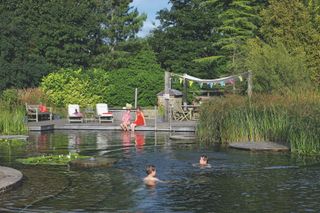 Natural swimming pool in UK garden