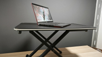 Convertitore Standing Desk
Un convertitore molto semplice, perfetto per chi usa il portatile lavorando a casa. Si posa sulla scrivania o sul tavolo della cucina, e costa pochissimo