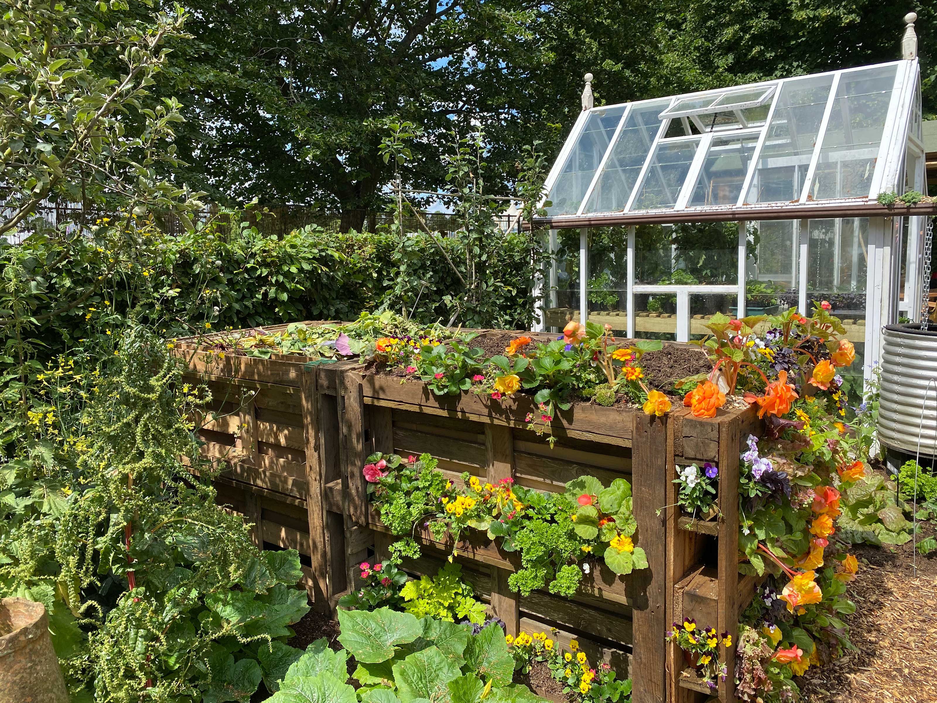 compost bin at RHS No Dig Allotment designed by Charles Dowding and Stephanie Hafferty at Hampton Court Garden Festival 2021