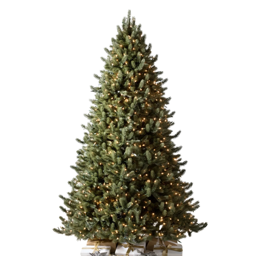 White Spruce Christmas Tree