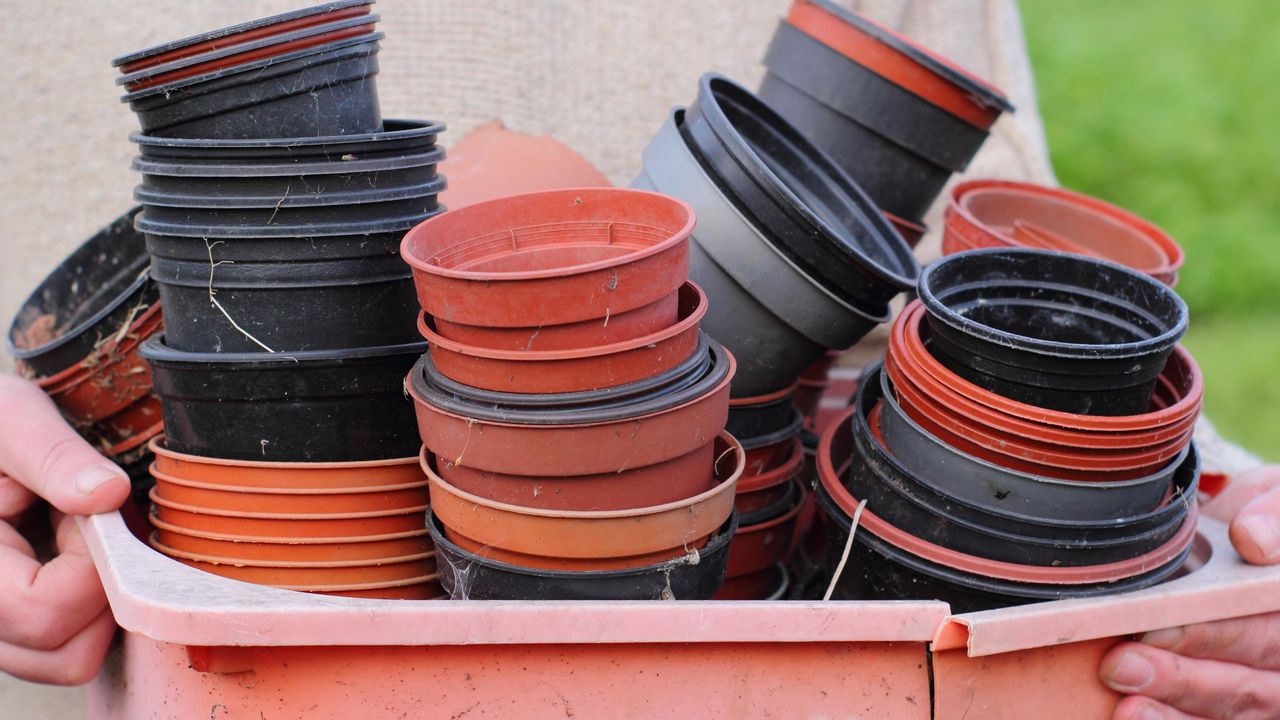 recycle plastic plant pots Gardener with empty black and red plastic plants pots in a plastic bowl, UK garden. Plastic free gardening 