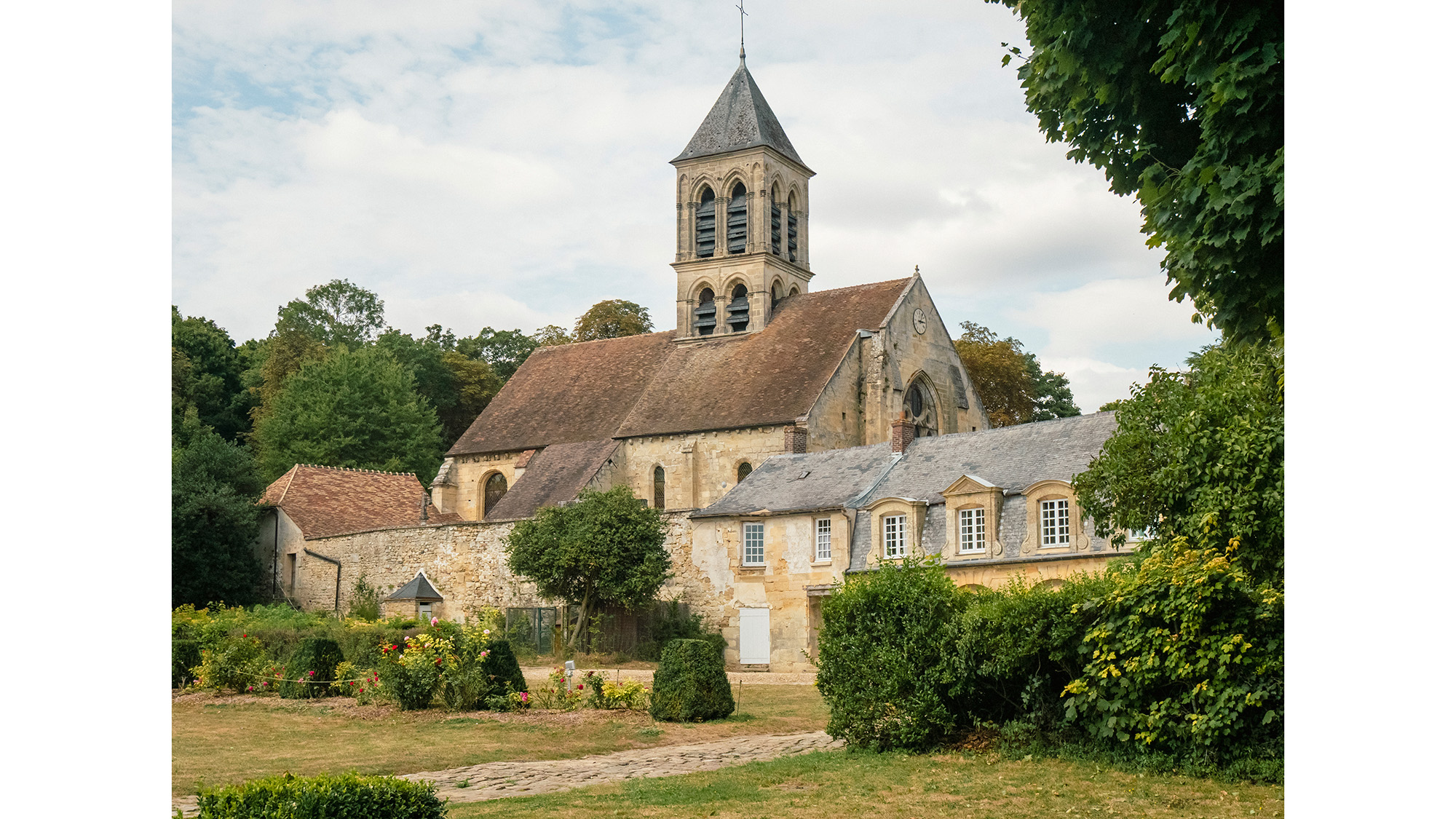 DxO Nik Collection 8 Analog Efex paper textures (Before application)