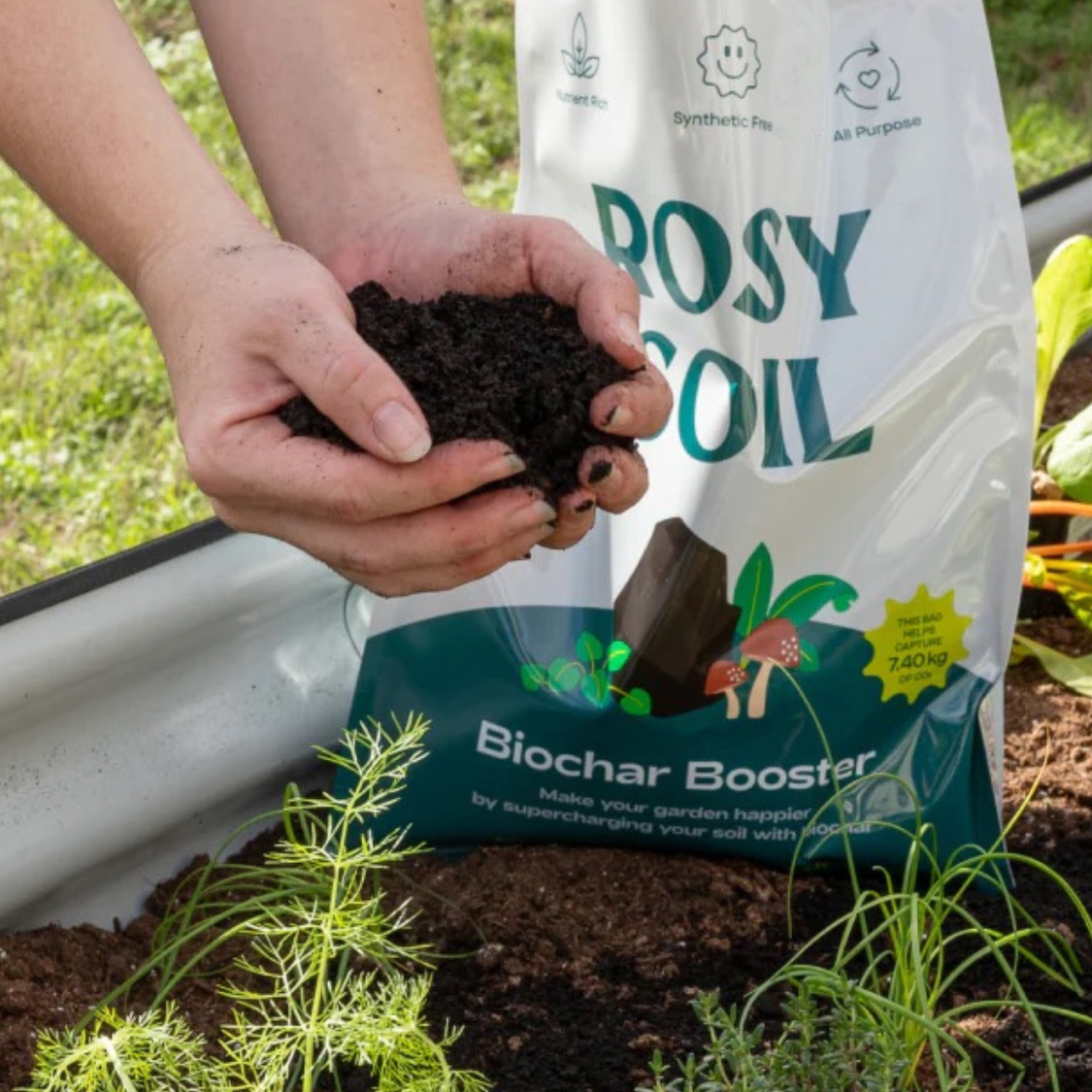 Rosy Soil biochar booster in a raised bed