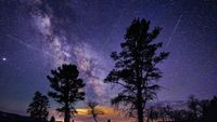 Lyrid meteor shower streaks across the sky with silhouetted trees in the foreground and the milky way stretching across the night sky in the background