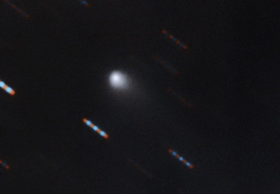 2nd Interstellar Comet Looks Pretty Normal, Astronomers Say