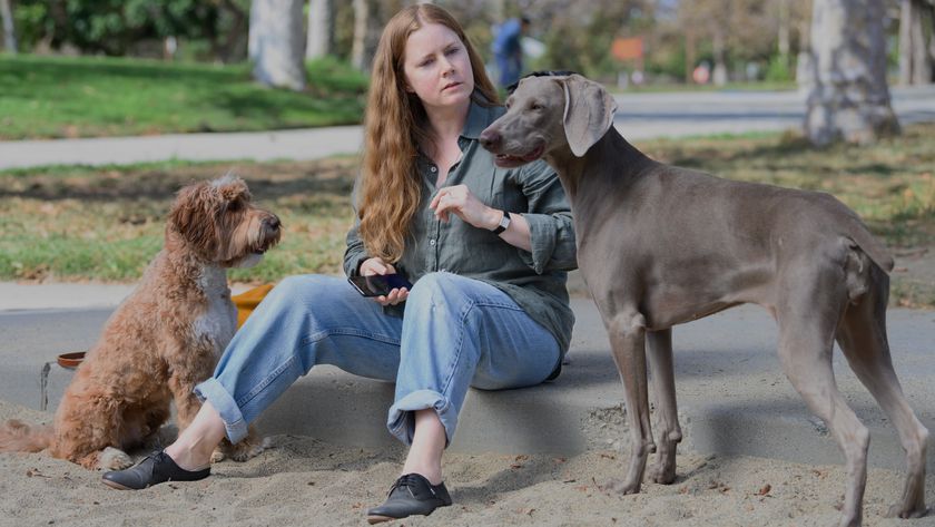 Amy Adams in &quot;Nightbitch&quot; (2024).