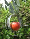 Hanging Apple Bird Feeder