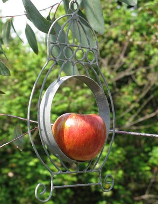 Best bird feeder for fresh fruit and seed balls: Hanging Apple Bird Feeder