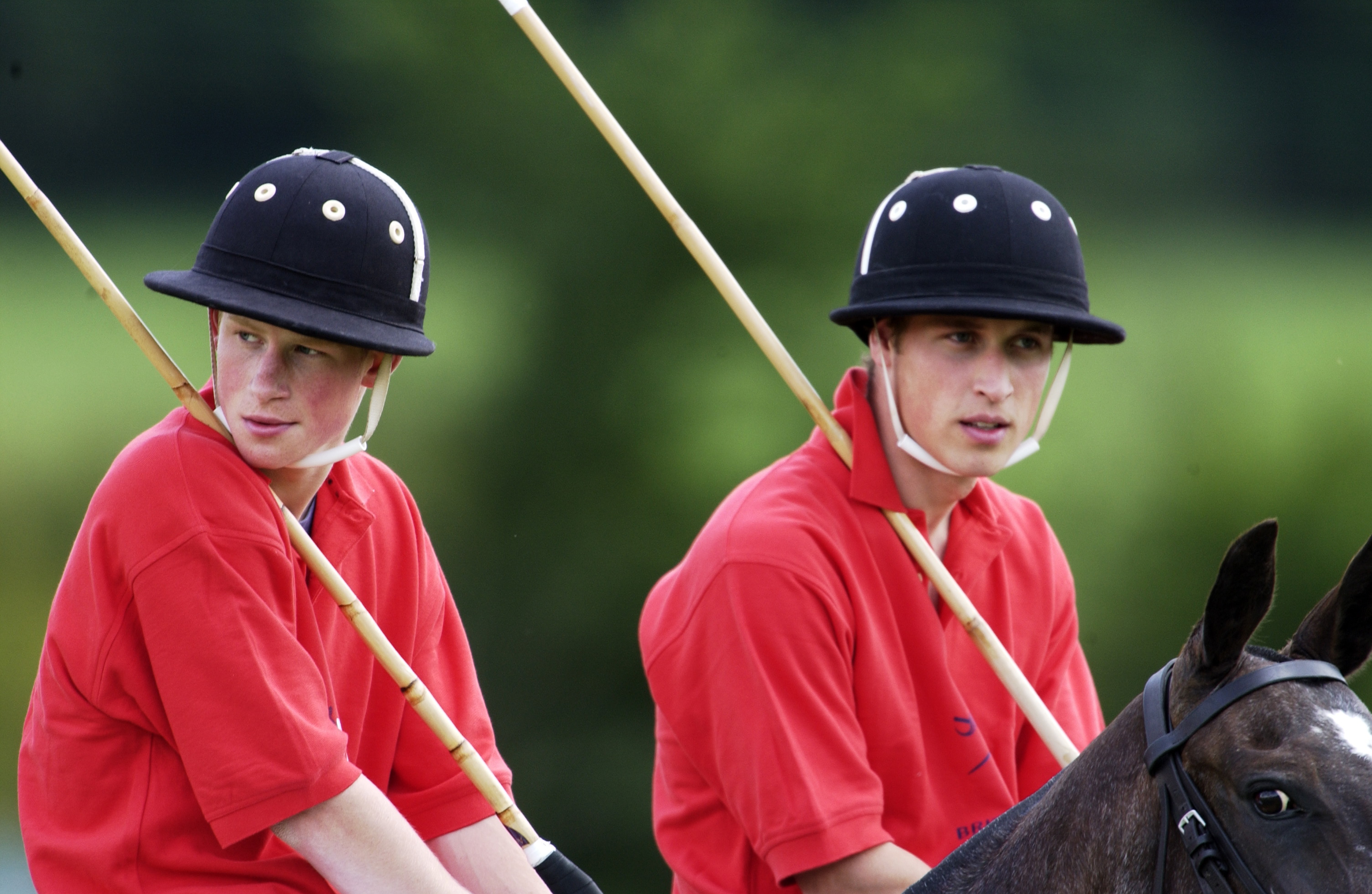 polo - harry and william