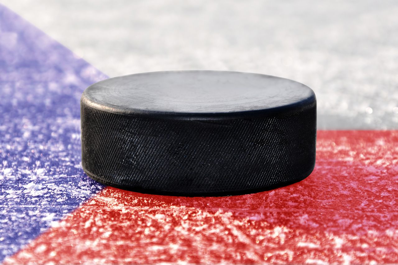 Hockey puck.