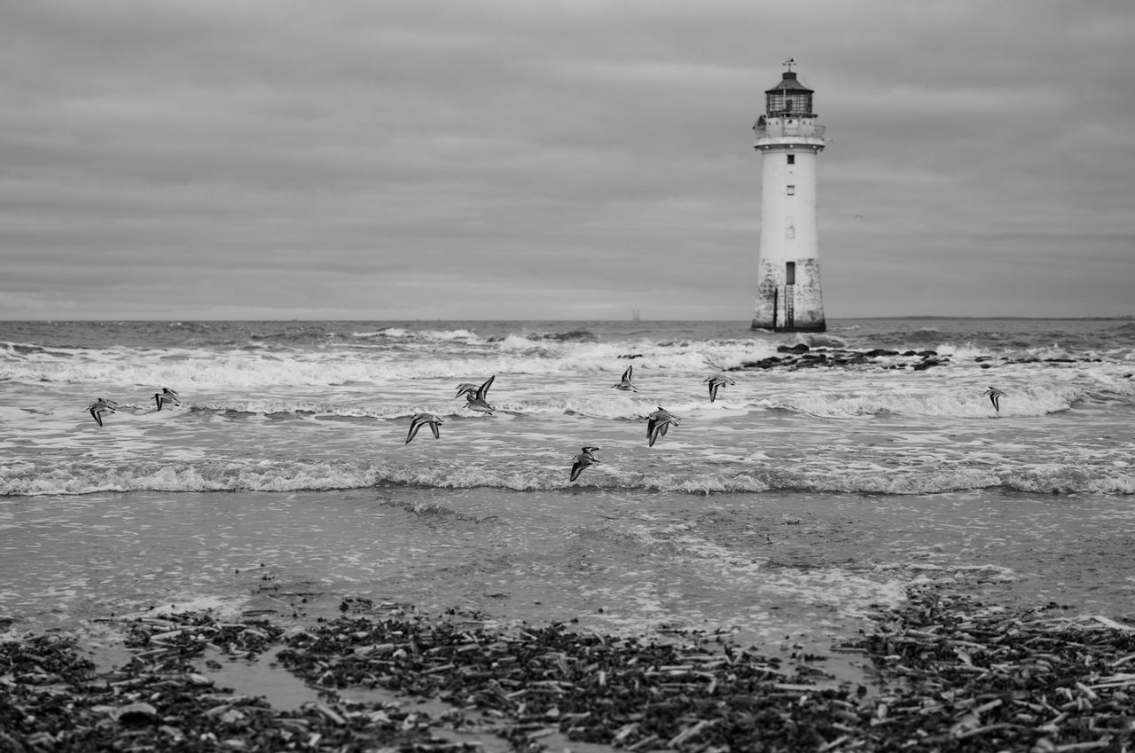 Bird taking flight over breaking waves on a stormy day with a lighthouse in the background
