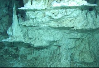 Active Lost City hydrothermal vents