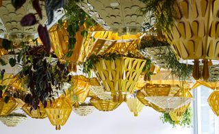 A detail focus on Pedro Y Juana's site specific hanging garden deisgned for the 'commons' space