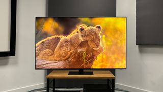 Samsung QN95D Neo-QLED TV on TV rack with screen showing lion cub
