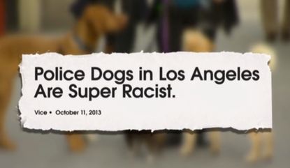 The Daily Show's Jessica Williams goes deep on racism in American dogs