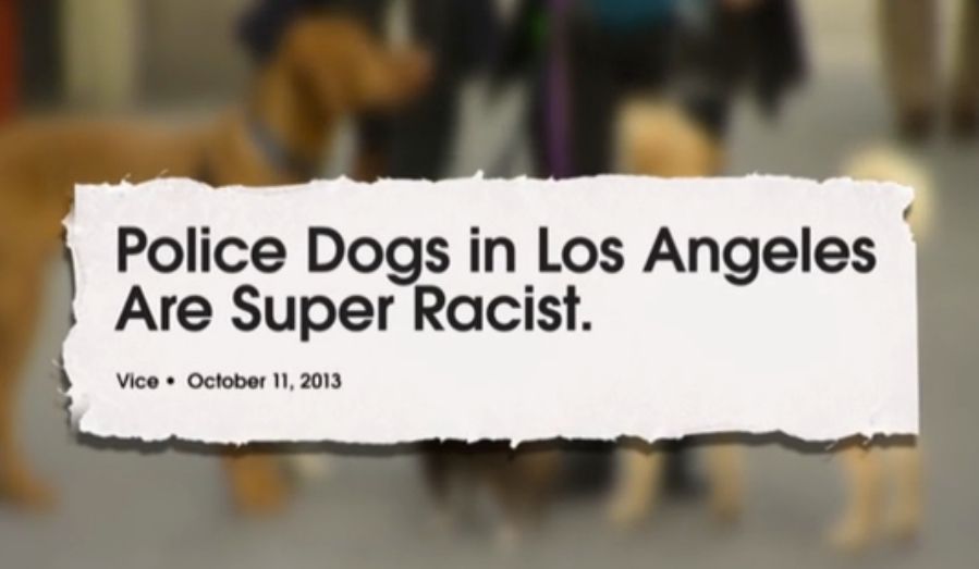 The Daily Show&amp;#039;s Jessica Williams goes deep on racism in American dogs