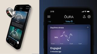 Oura Daytime Stress feature